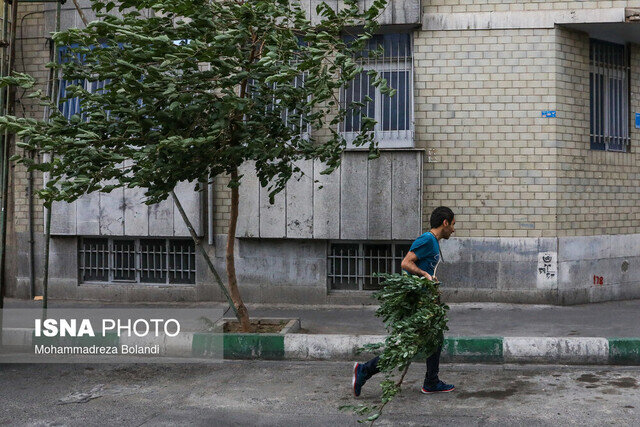 باد و گرد و خاک در تهران